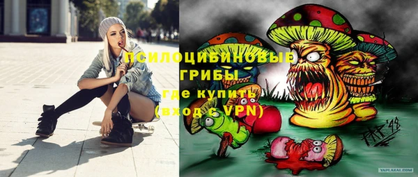 молекула духа Алексеевка