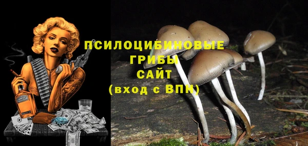 герыч Алексин